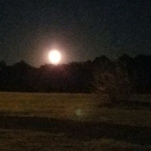 Meet your Posher, Tina